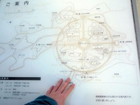 Medium_とっとり花回廊 (12)s